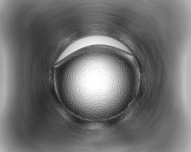 X0000086930361200704301122