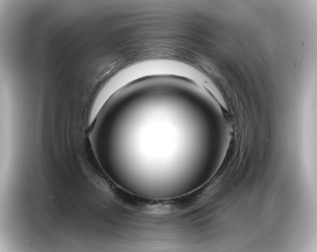 X0000086930362200704301122