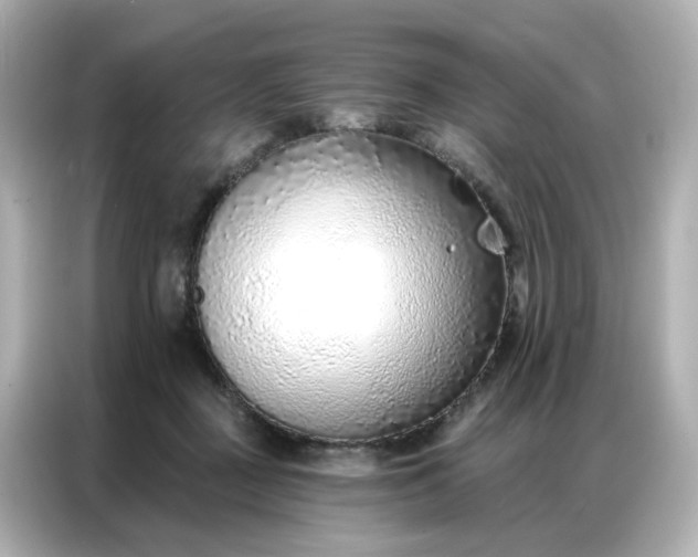 X0000086930363200704301122