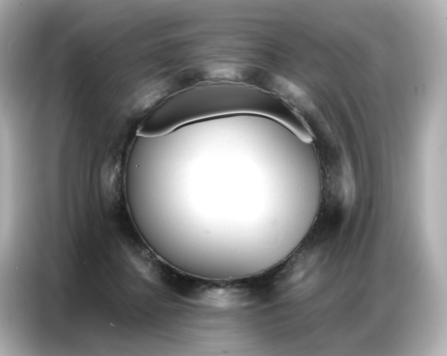 X0000086930364200704301122