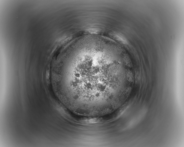 X0000086930365200704301122