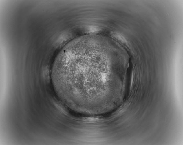 X0000086930366200704301122