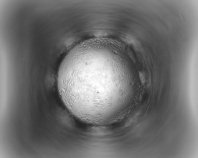 X0000086930367200704301122