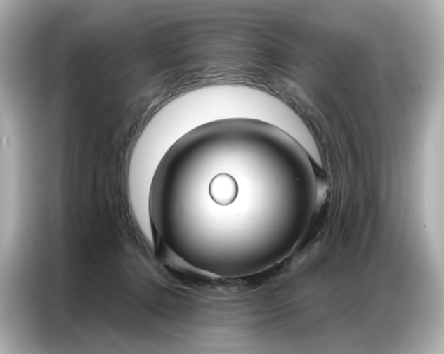 X0000086930368200704301122