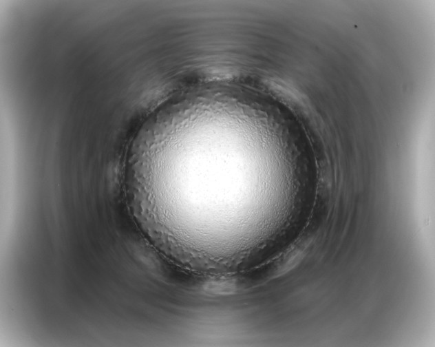 X0000086930369200704301122