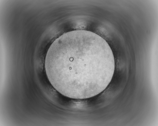 X0000086930370200704301122