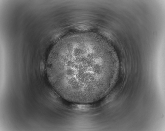 X0000086930371200704301122