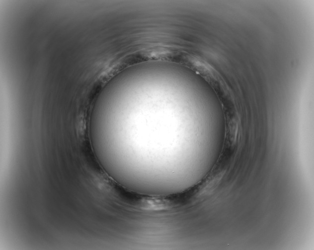 X0000086930372200704301122