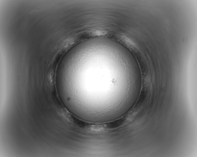 X0000086930373200704301122