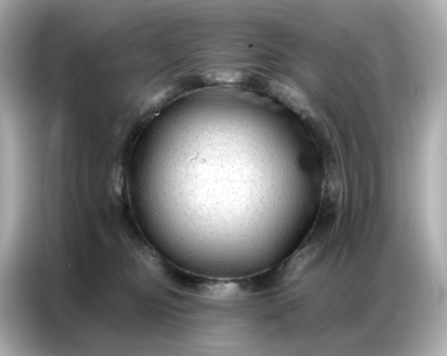 X0000086930374200704301122