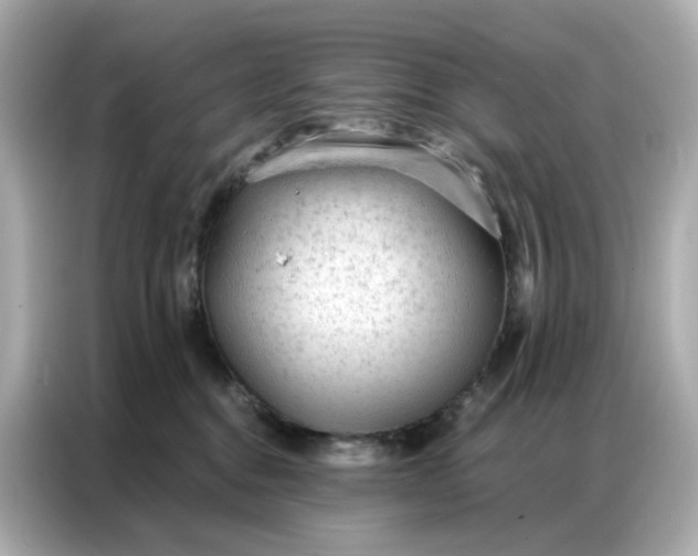 X0000086930376200704301122