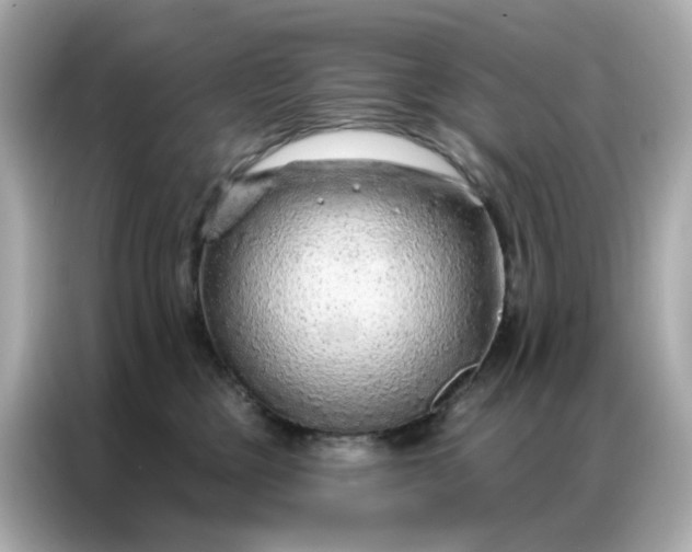 X0000086930377200704301122