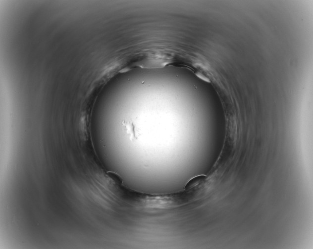 X0000086930378200704301122