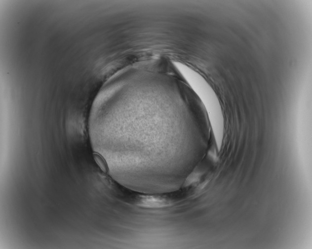 X0000086930380200704301122