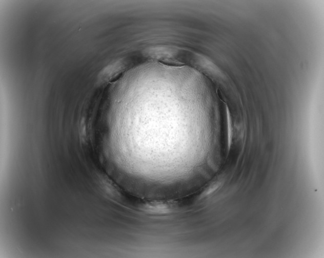 X0000086930381200704301122