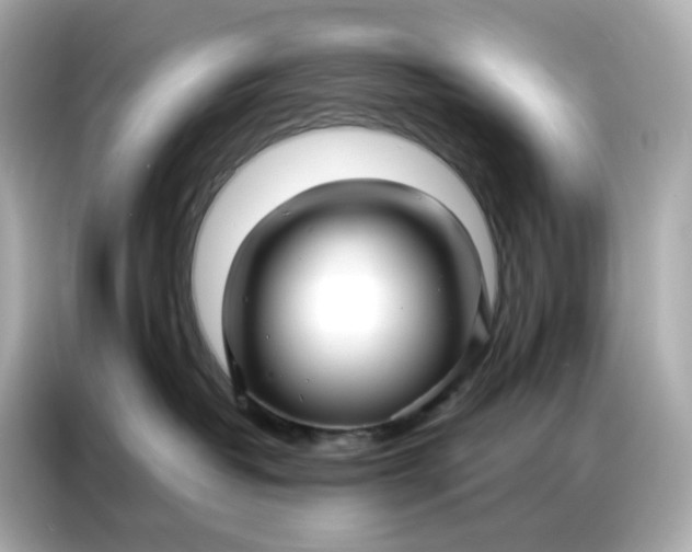 X0000086930382200704301122