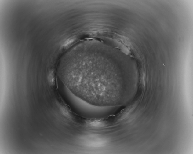 X0000086930383200704301122