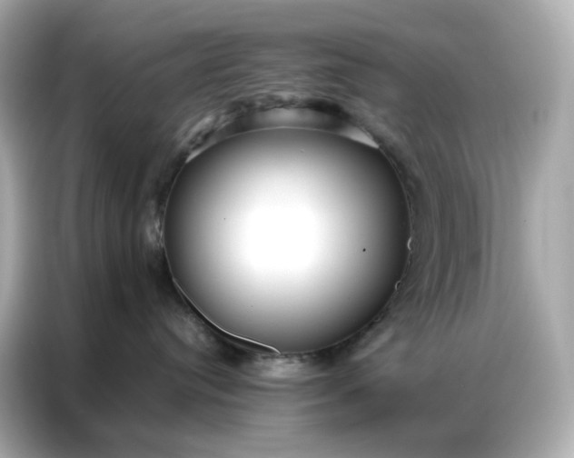 X0000086930384200704301122