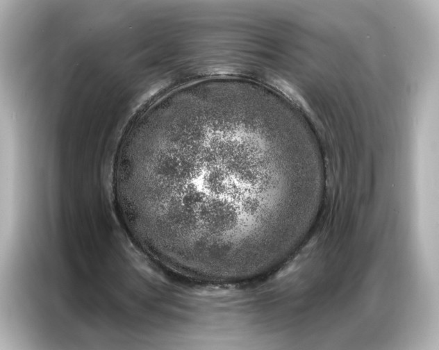 X0000086930386200704301121