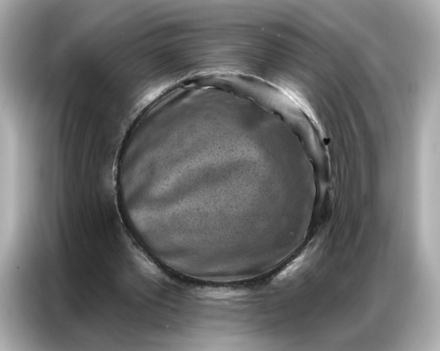 X0000086930389200704301121