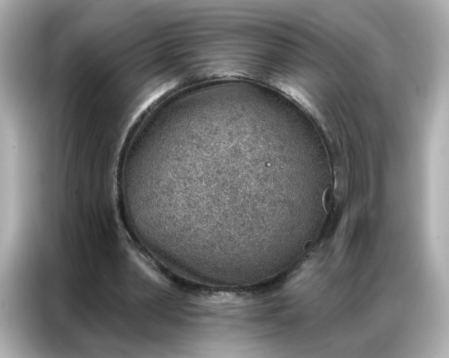 X0000086930390200704301121