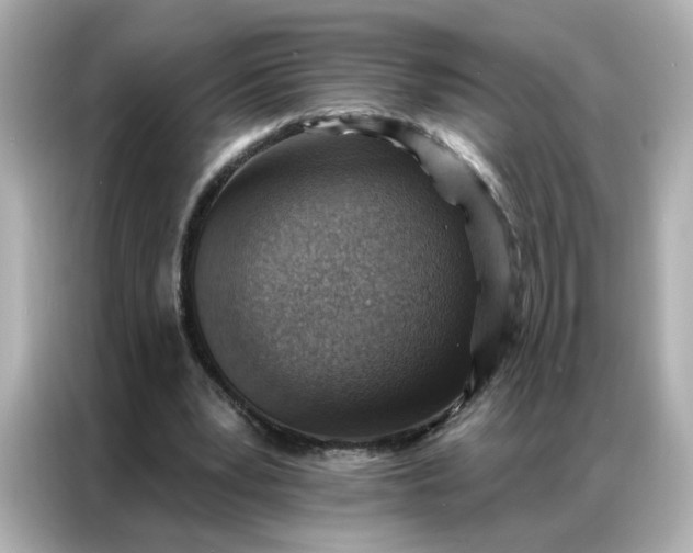 X0000086930391200704301121