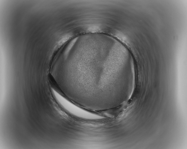 X0000086930393200704301121