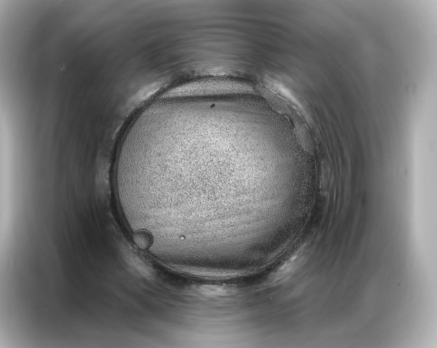 X0000086930394200704301121