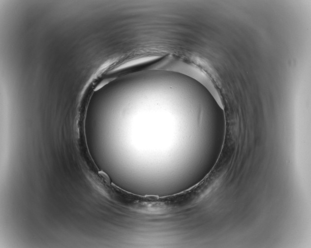 X0000086930395200704301121