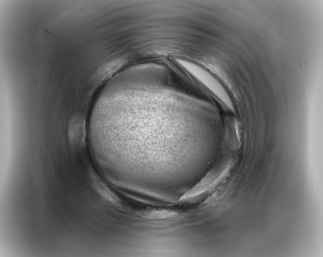 X0000086930397200704301121