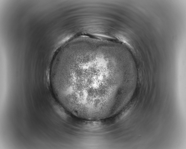 X0000086930398200704301121