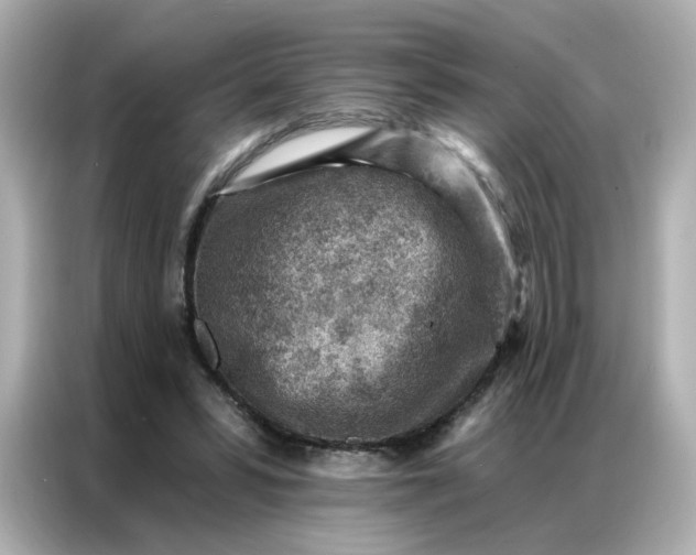 X0000086930399200704301121