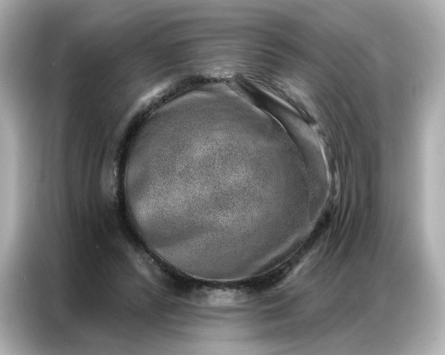 X0000086930400200704301121