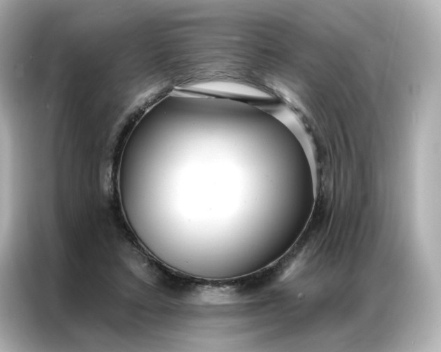 X0000086930403200704301121