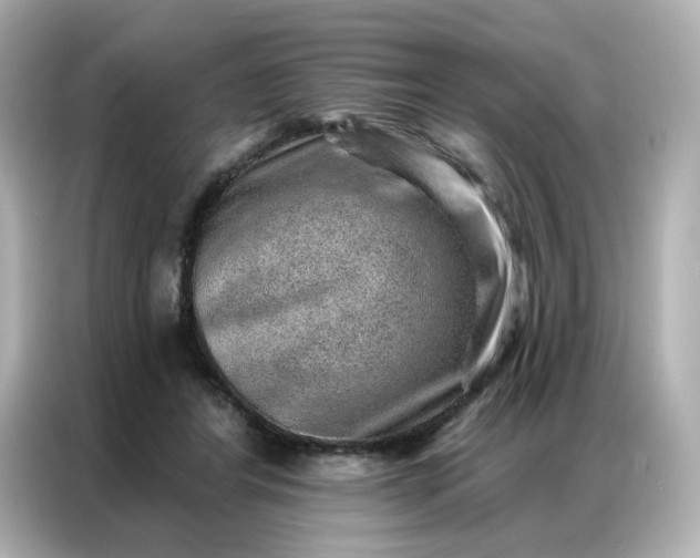 X0000086930404200704301121