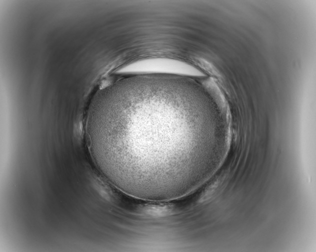 X0000086930405200704301121