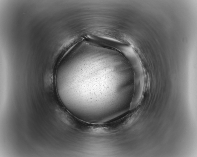 X0000086930407200704301121