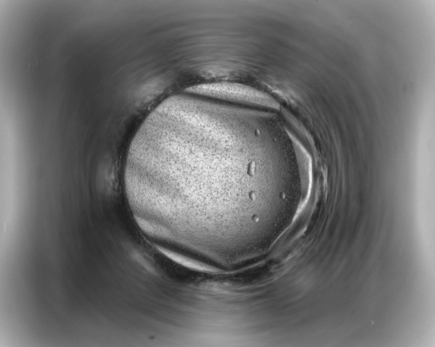 X0000086930408200704301121