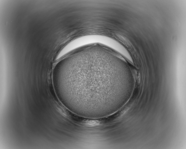 X0000086930409200704301121