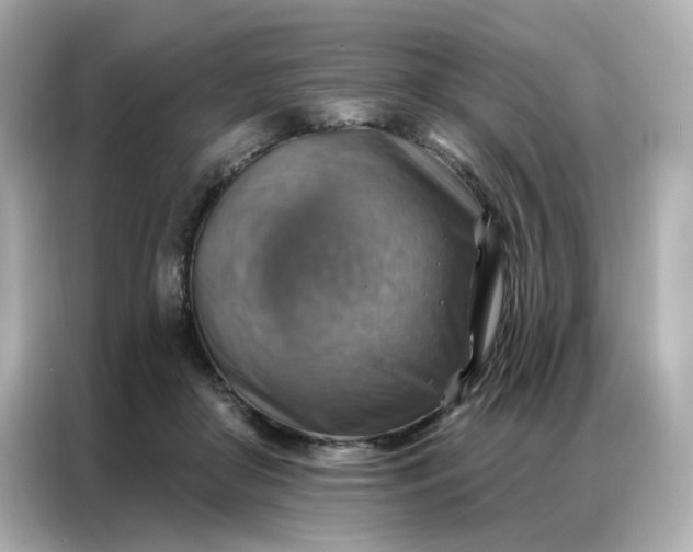 X0000086930410200704301121