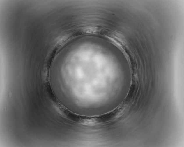 X0000086930411200704301121