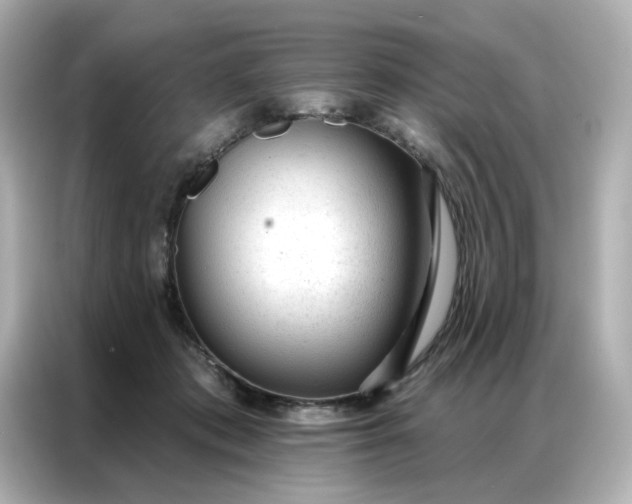 X0000086930413200704301121