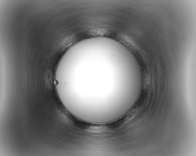 X0000086930414200704301121