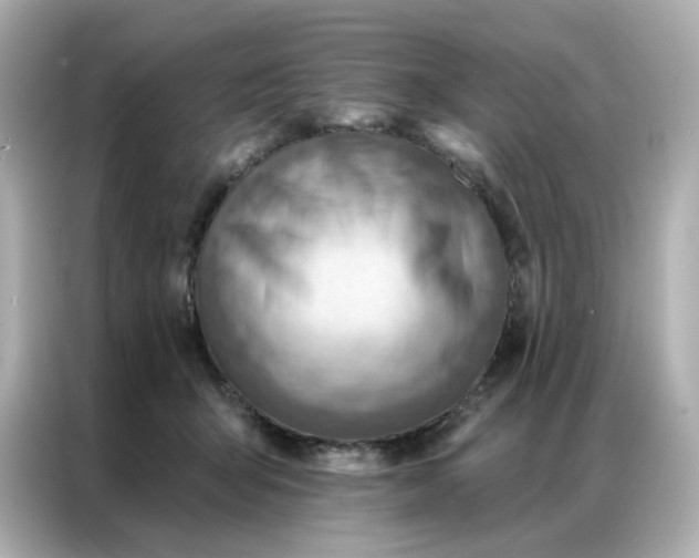 X0000086930415200704301121