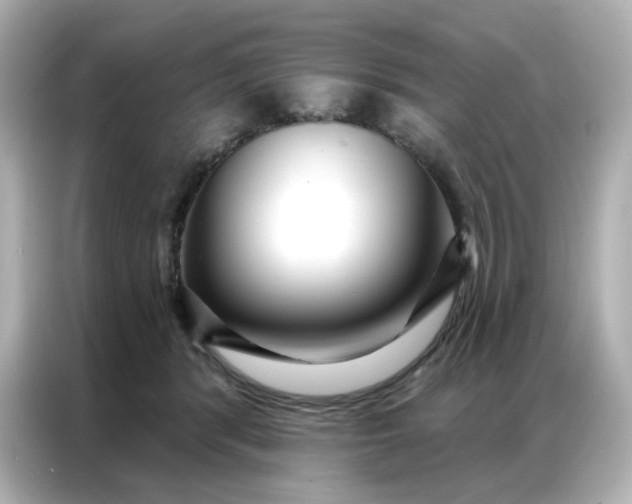 X0000086930416200704301121