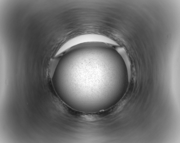 X0000086930417200704301121