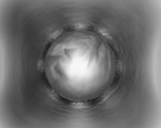 X0000086930419200704301121