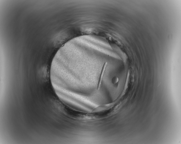 X0000086930420200704301121