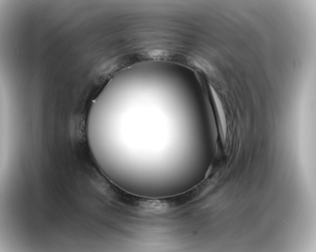 X0000086930421200704301121