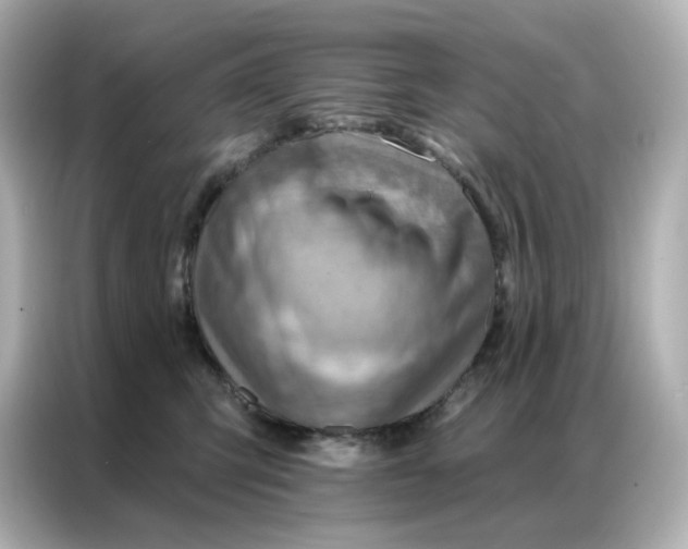 X0000086930423200704301121